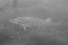1674426