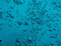 145568