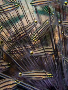 612250