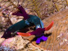 763719