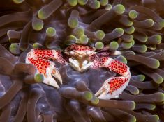 763722