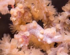 763725
