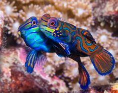 763730