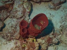 170386