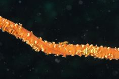 285902