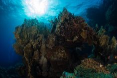 846258