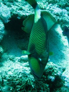 311437