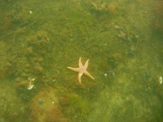 1879736