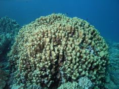 161961