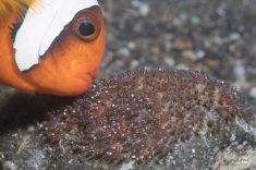 2345652