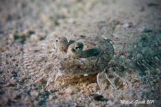 310508