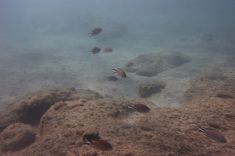 2158823